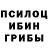 Псилоцибиновые грибы Psilocybe JML JML