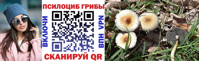 хочу   Покров  Галлюциногенные грибы Magic Shrooms 